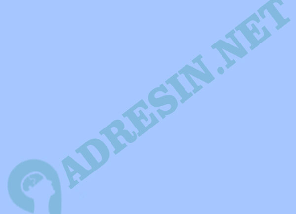 adresin.net